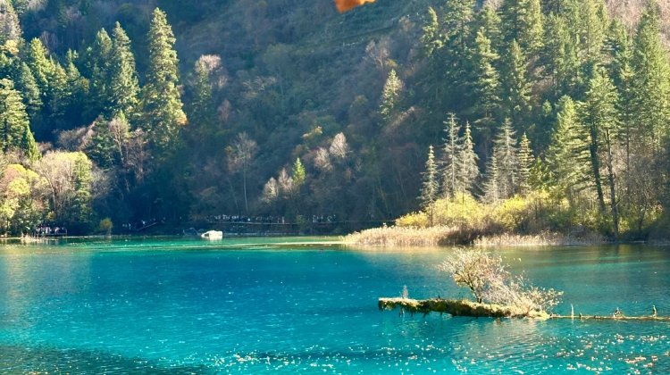 9-Day Sichuan classic panorama: Chengdu, Chongqing, Jiuzhaigou, Huanglong National Scenic Area | Private Tours·  