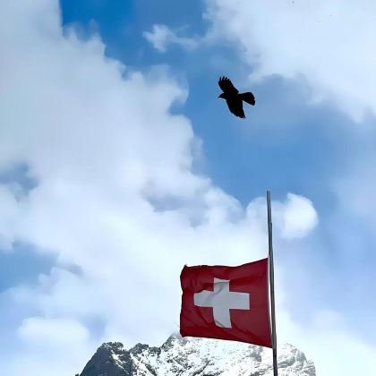 法国+瑞士11日9晚拼小团