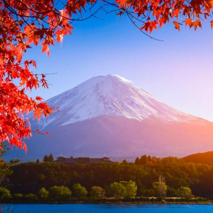 日本东京+富士山2日1晚自由行