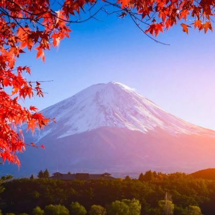 日本东京+箱根+京都+大阪11日10晚私家团