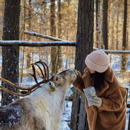 长白山+延吉5日4晚拼小团