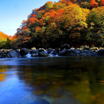 西安+光雾山旅游景区5日4晚跟团游