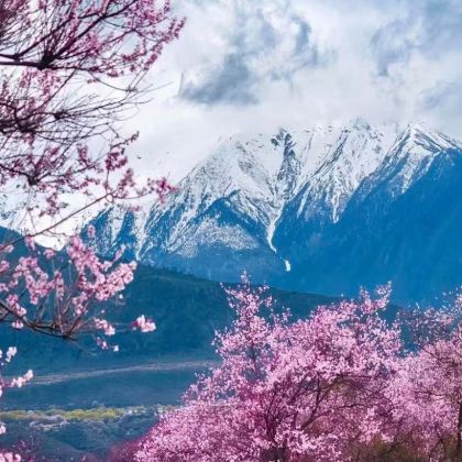 新疆伊犁+赛里木湖+那拉提旅游风景区6日5晚私家团