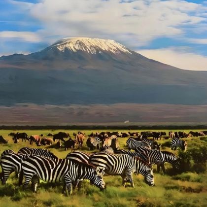 肯尼亚+乌干达+南非15日14晚私家团