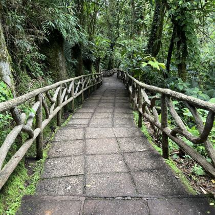 哥斯达黎加阿雷纳火山国家公园+蒙特维多云雾森林保护区7日6晚私家团