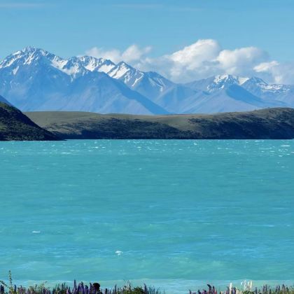 新西兰南岛+皇后镇+瓦纳卡+特卡波湖+蒂卡普中文观星- 本墨站+米尔福德峡湾+库克山6日5晚拼小团