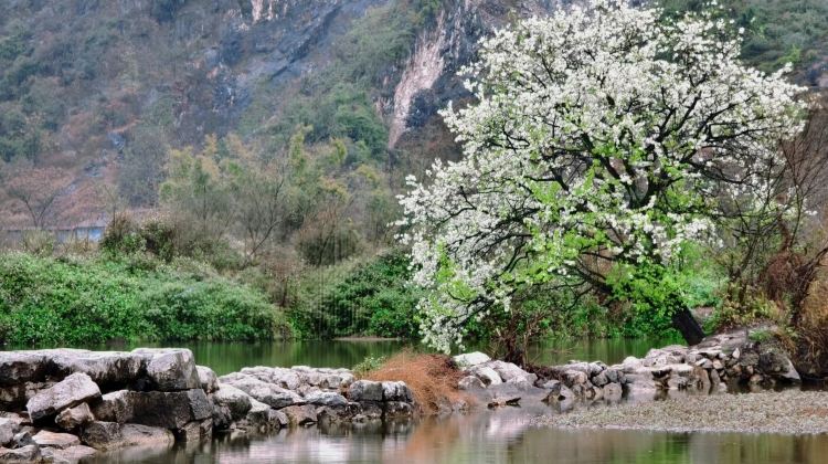 5D4N · Private Tours · China + Guilin + Yangshuo + Longji Rice Terraces + Guilin Li River Scenic Area