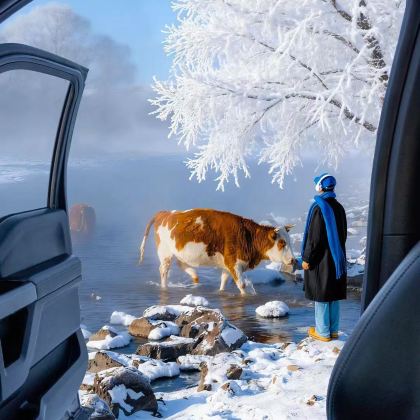 呼伦贝尔+额尔古纳+阿尔山6日5晚自由行