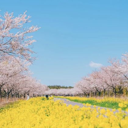 韩国首尔+济州岛8日7晚自由行