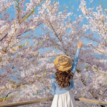 韩国首尔4日3晚私家团