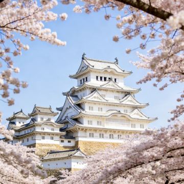 日本大阪+奈良市+京都+神户+鸟取市7日6晚私家团