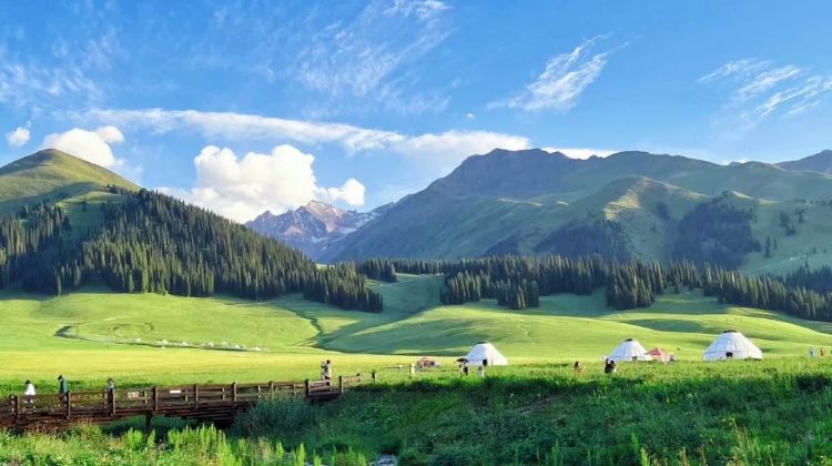 8D7N · Private Tours · 8-day essence tour of Ili departing from Urumqi, covering Sayram Lake, Tuergen Apricot Valley, Kuerdening and  Narat, capturing all the spring charm of Ili on one trip.
