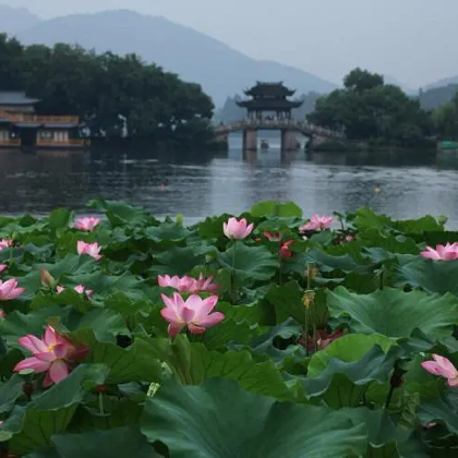 南京+扬州+无锡+苏州+乌镇+杭州5日4晚跟团游