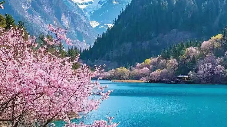 成都+7