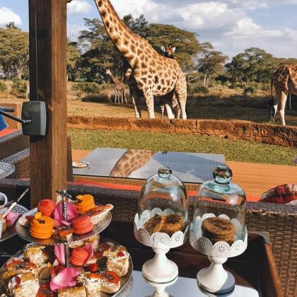 肯尼亚11日9晚拼小团