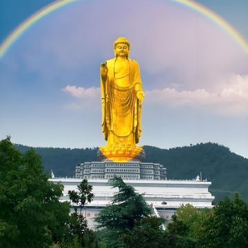 平顶山+三苏园景区+神垕古镇+香山普门禅寺+白龟湖国家湿地公园+中原大佛景区+墨子战国里5日4晚私家团