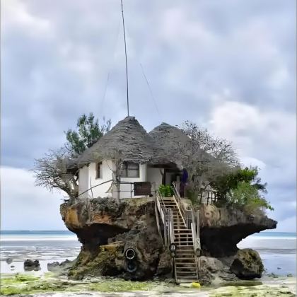 肯尼亚+坦桑尼亚13日12晚私家团