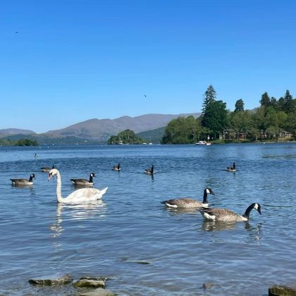 英国13日10晚拼小团