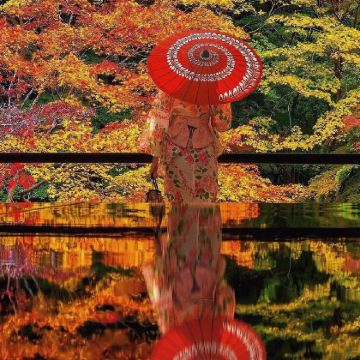 日本大阪+京都+伊豆+东京+奈良8日7晚私家团