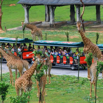 广州+顺德区+东莞8日自由行