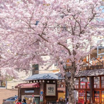 韩国首尔+南怡岛6日5晚自由行