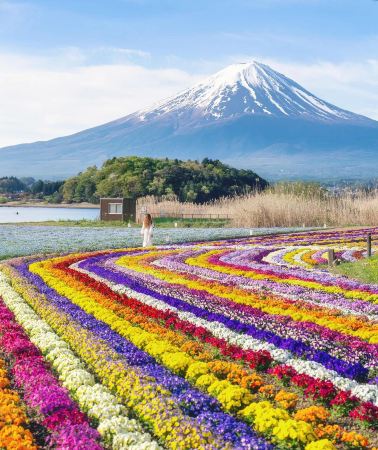 8D7N • Hidden Gems of Tohoku : Japan + Tokyo + Ibaraki + Tochigi + Fukushima + Sendai + Yamagata