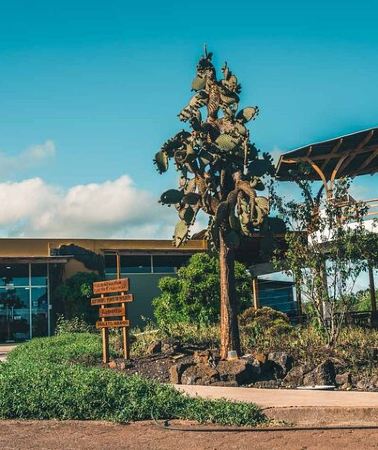 4D3N • Galapagos- Santa Cruz Explorer 4 days