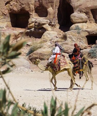 2D1N • Explore Wadi Rum Desert with Camel Ride Experience with Stay