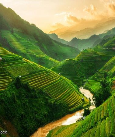 3D2N • Sapa 3 Days Trek with 2 Nights Homestay