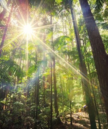 4D3N • From Hervey Bay: K'Gari (Fraser Island) 4 Day Experience