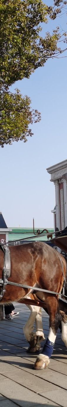 海澜飞马水城-江阴