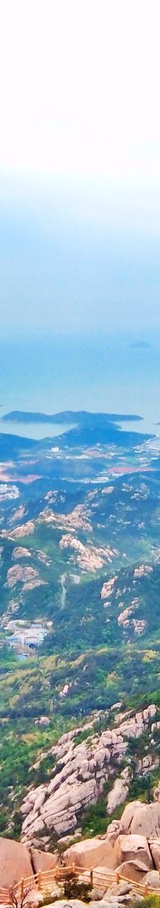 崂山风景区-青岛-哨所旁的白杨