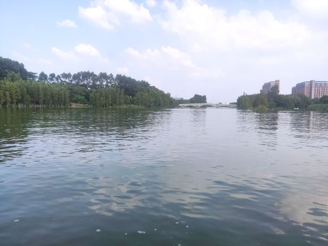 华阳湖国家湿地公园旅行图片 5