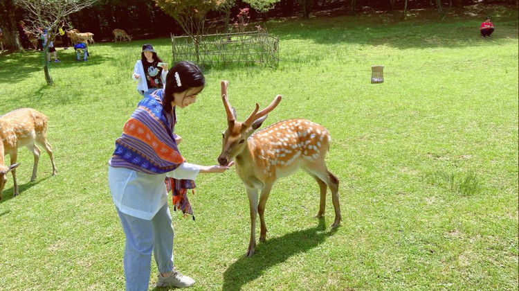宜昌+两坝一峡+三峡人家+神农架+大九湖7日6晚私家团·【湖北追风季·自然野奢】VIP包车游·5钻奢牌酒店·1晚夜宿大九湖「神农六景/野人寻踪+喂梅花鹿+大熊猫|金丝猴」赠大瀑布 登大坝+船游西陵峡·过船闸·三峡人家