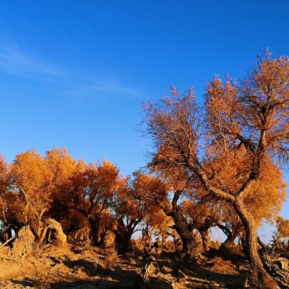 乌鲁木齐+吐鲁番+鄯善+哈密+伊吾+奇台11日10晚私家团