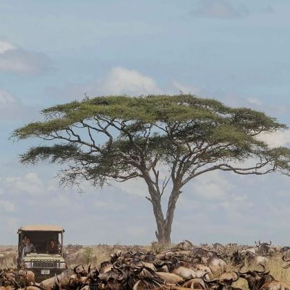 坦桑尼亚10日8晚私家团