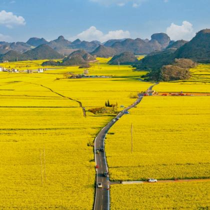 云南昆明+罗平+蒙自+元阳+建水+抚仙湖7日6晚私家团