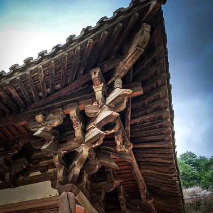 山西太原+五台山+悬空寺+应县木塔景区+云冈石窟+雁门关景区4日3晚拼小团