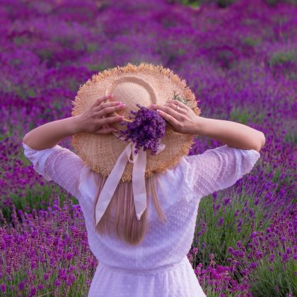 法国巴黎+勃艮第+科尔马+安纳西+勃朗峰+瑞士+意大利18日17晚私家团