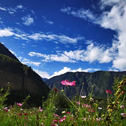 拉萨+林芝+山南+布达拉宫+巴松措+雅鲁藏布大峡谷+羊卓雍错7日6晚拼小团