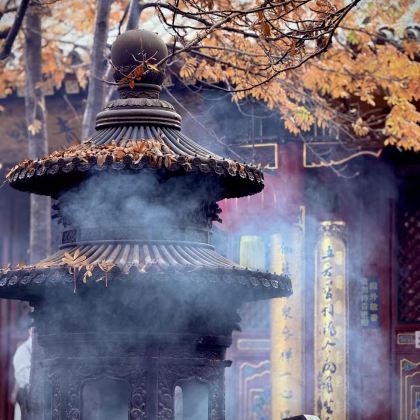 山西太原+五台山+大同+平遥+壶口瀑布6日5晚跟团游