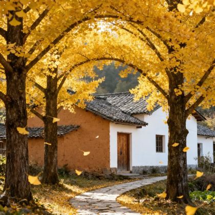 腾冲+老姆登+丙中洛+老姆登知子罗+火山地热国家地质公园+芒市+瑞丽10日9晚私家团