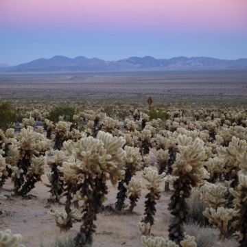 美国旧金山+洛杉矶+圣地亚哥+拉斯维加斯10日9晚拼小团