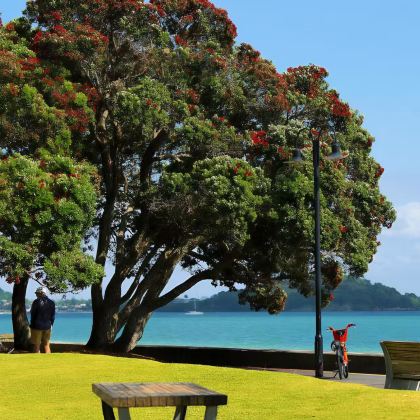 新西兰11日9晚拼小团