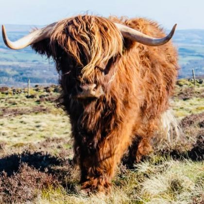 英国伦敦+剑桥+温德米尔+爱丁堡+约克+苏格兰高地+天空岛+七姐妹悬崖12日11晚私家团