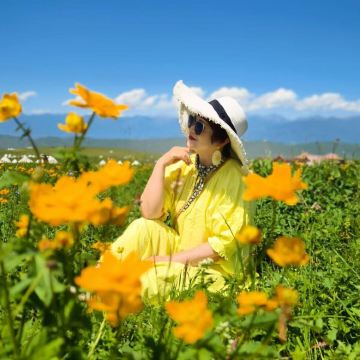 沈阳+丹东+长白山+延吉+镜泊湖风景区+哈尔滨+齐齐哈尔+呼伦贝尔大草原+漠河+伊春17日16晚跟团游