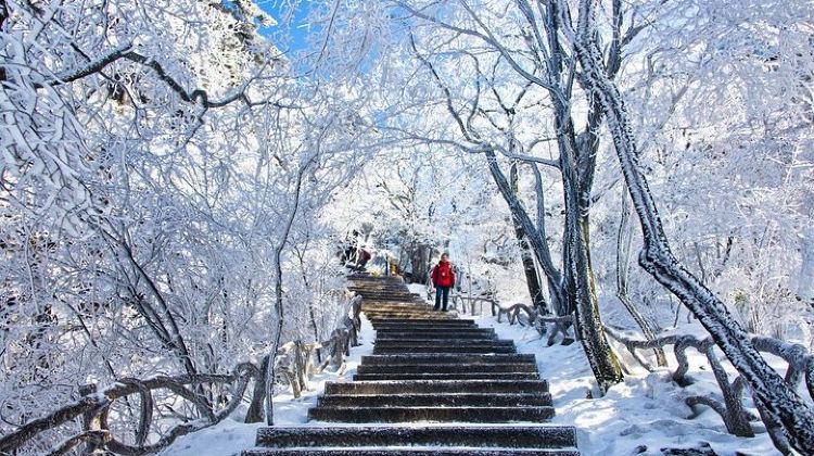 2-Day 2-Day Huangshan Private Tour: Yellow Mountain and Xidi Ancient Village