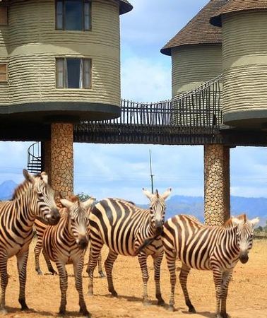 3D2N • 3 Days(2 nights) Tsavo East Tour & Saltlick (Cost based on minimum 2 persons)