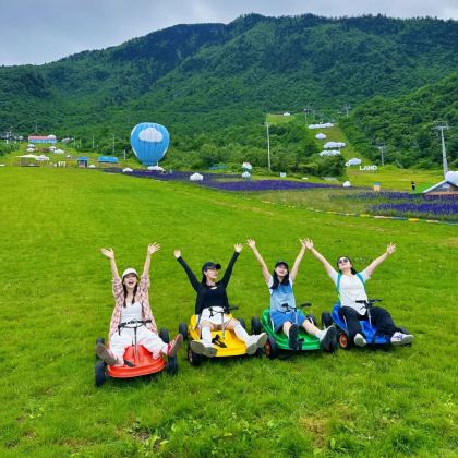 成都+西岭雪山（滑雪场景区）+三星堆博物馆+刘氏庄园博物馆5日4晚私家团