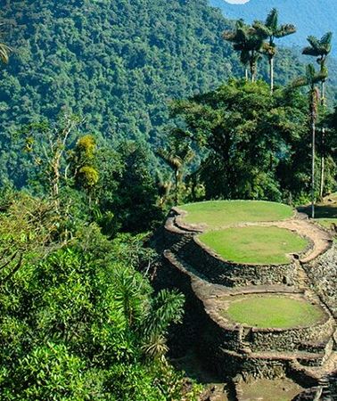 4D3N • Ciudad Perdida "Teyuna" 4 Days Tracking Tour